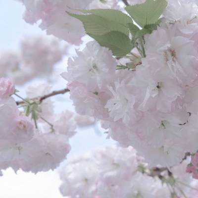 兽设黎明场景创作兽圈社群